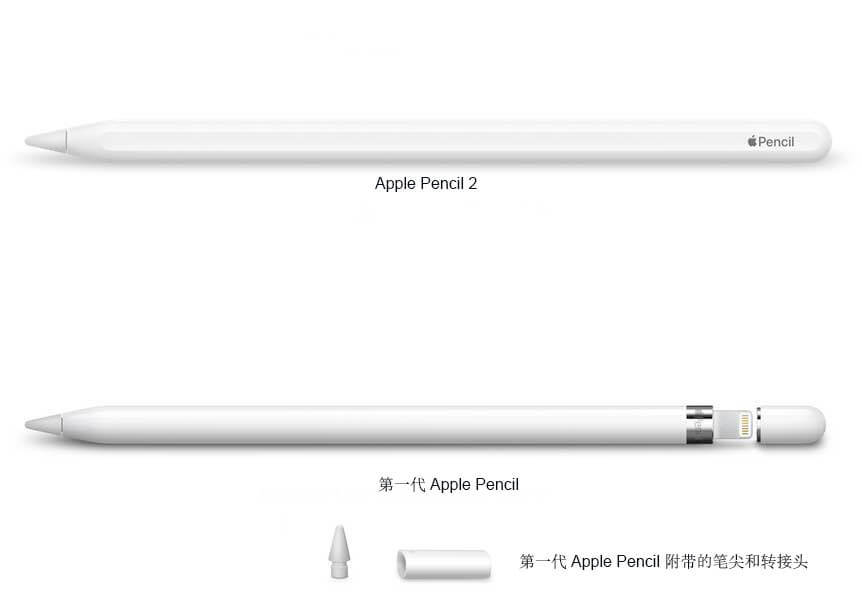 Apple Pencil 1代和2代对比图